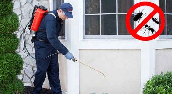 Konyaaltı Hamam Böceği İlaçlama böcek ilaçlama ve haşere kontrolü — ilaclama-tr.com
